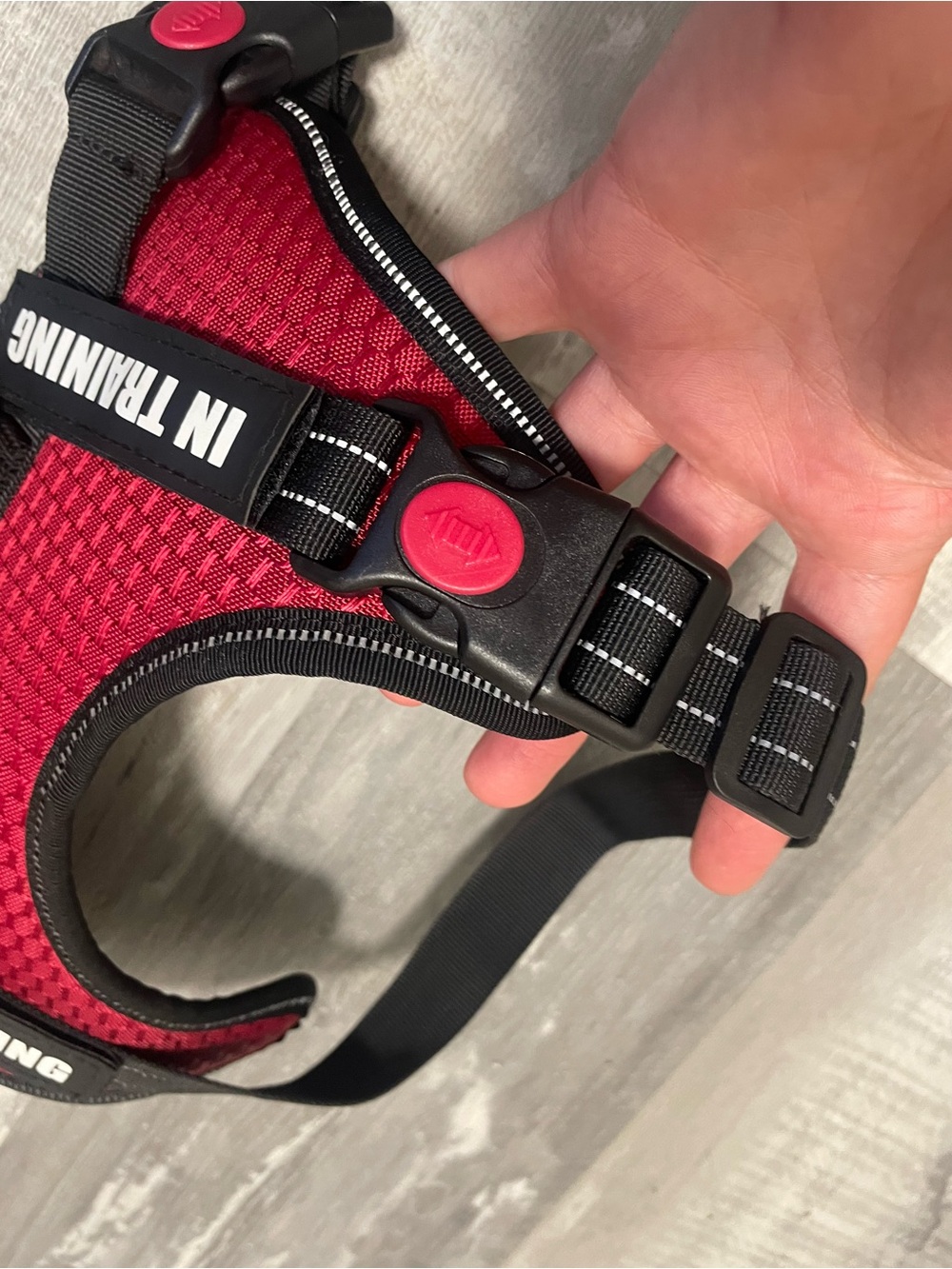 Dog Service/Training Harness - Picture 4 of 8